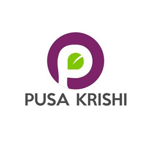 Pusa Krishi